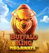 Buffalo King Megaways slot